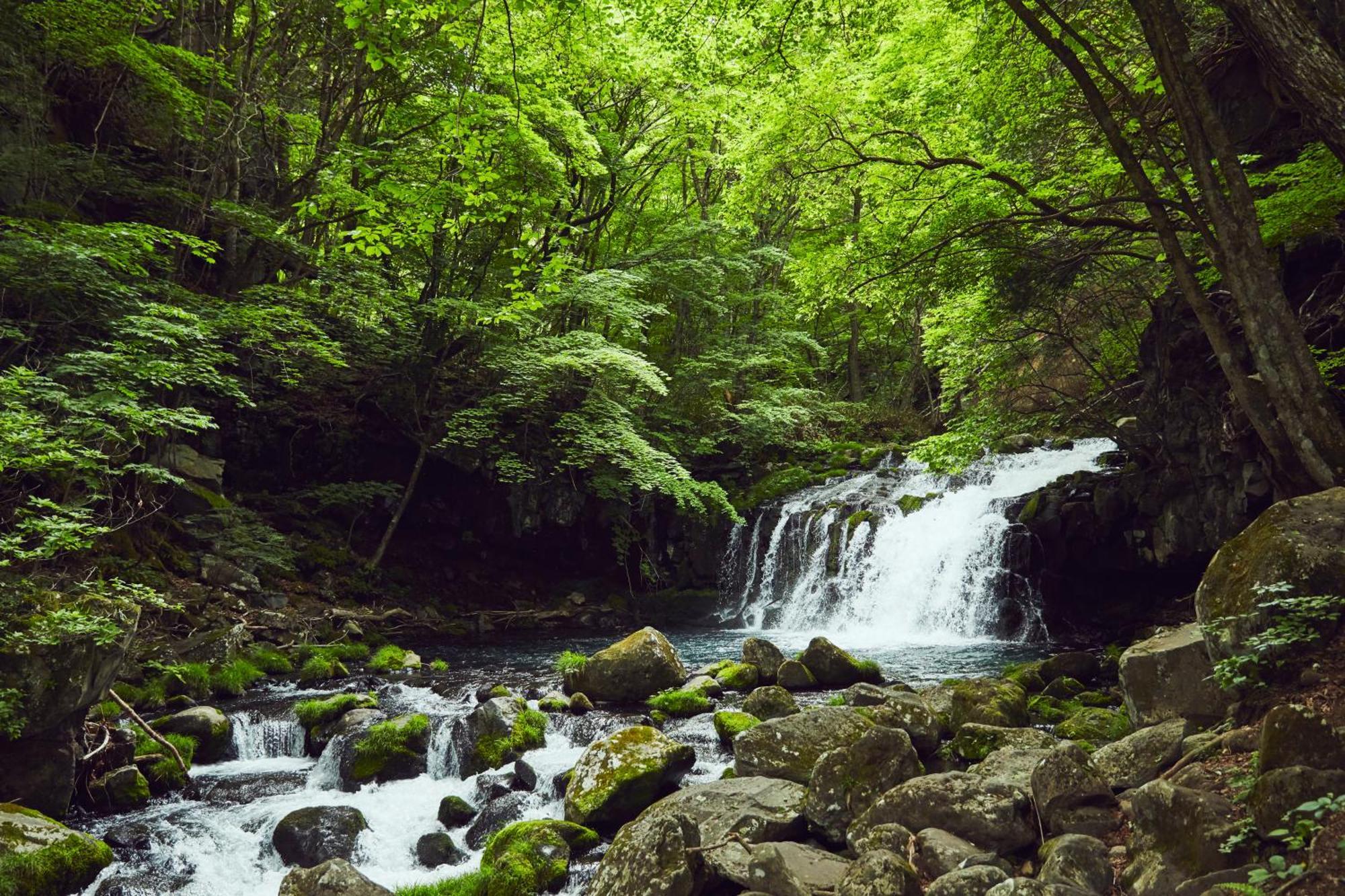 מלון צ'ינו Tateshina Shinyu Onsen מראה חיצוני תמונה